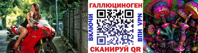 Псилоцибиновые грибы Psilocybe гидра ТОР Златоуст